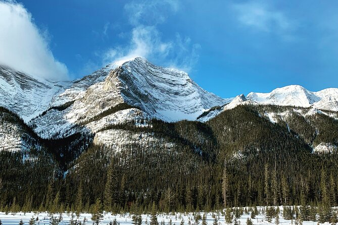 Banff: Best of Banff National Park - Nature Walk 2hrs - Common questions