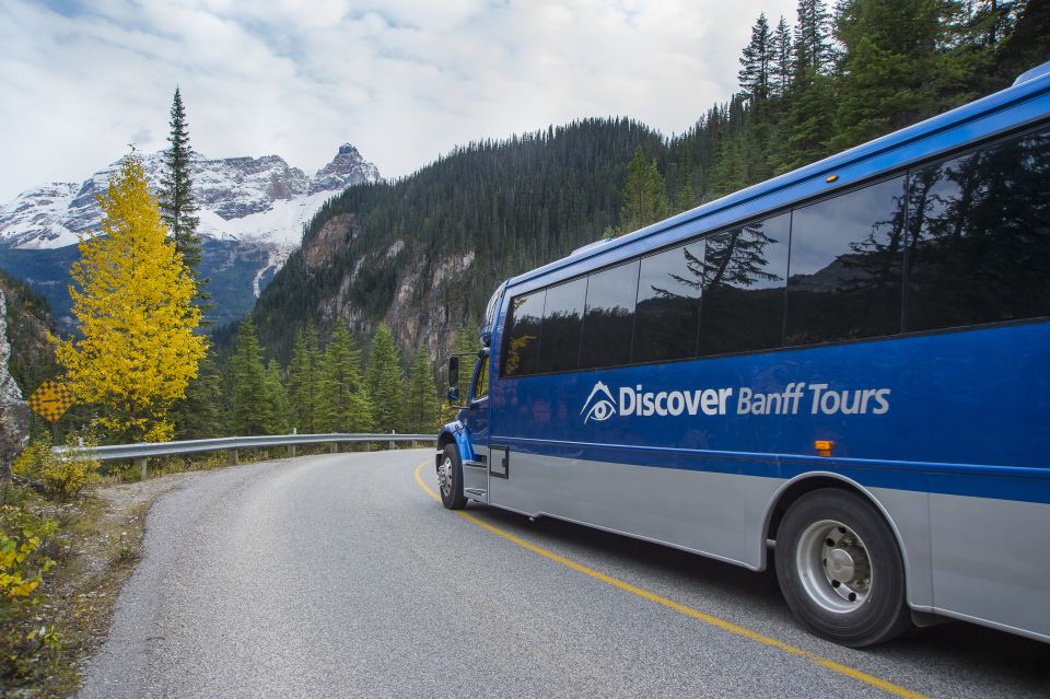 Banff: Grizzly Bear Refuge Tour With Lunch - Directions