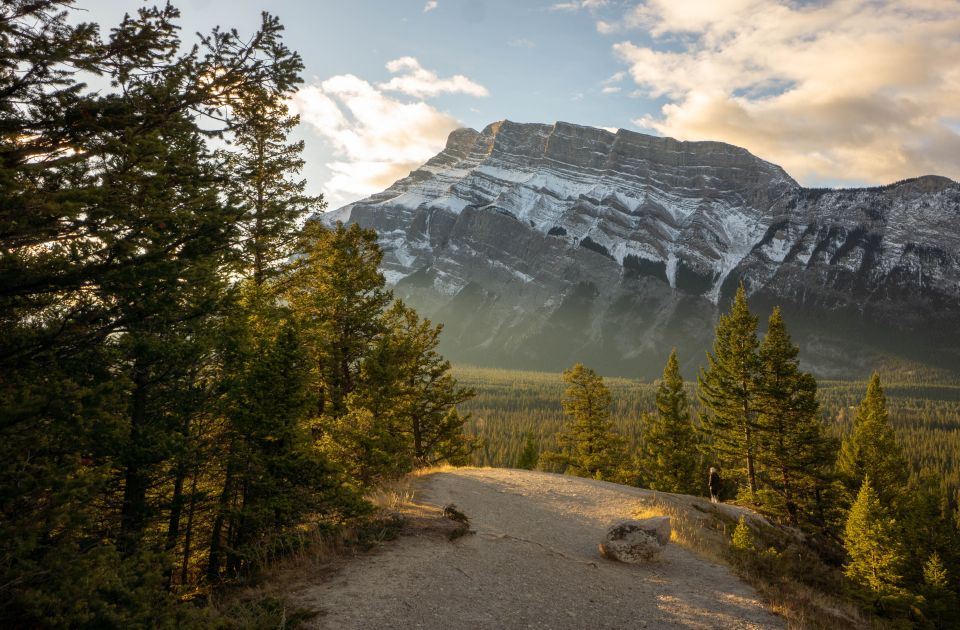 Banff: Highlights and Wildlife Group Tour - Transportation and Tour Logistics