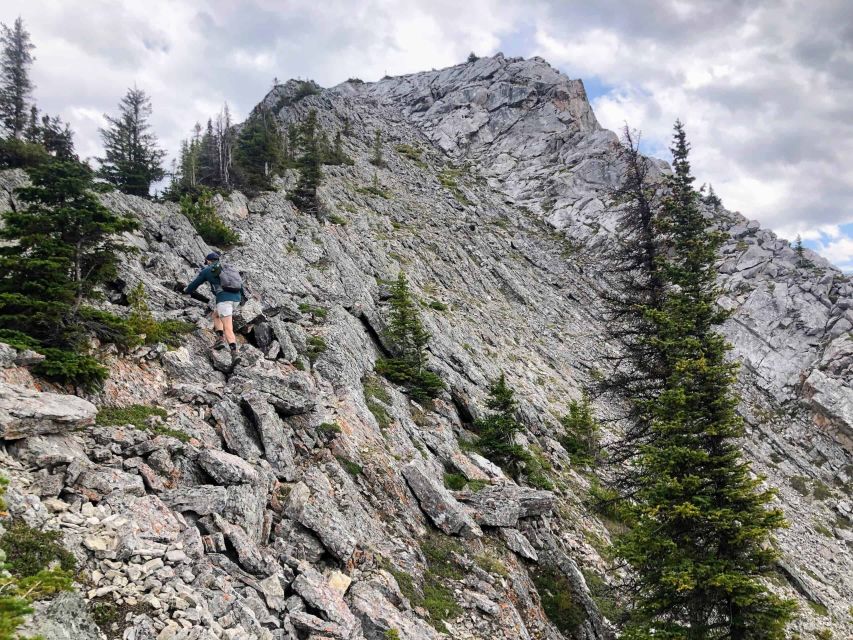 Banff: Sulphur Mountain Guided Hike - Customer Reviews