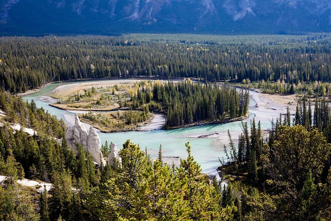 Banff Tour With Gondola & Lake Cruise - Roundtrip From Banff - Common questions