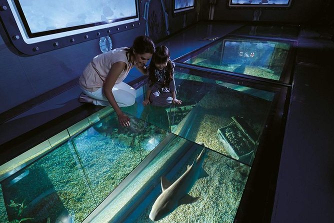 Bangkok Sea Life Aquarium and Madame Tussauds - Summary and Last Words