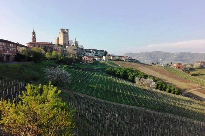 Barolo Wine and Food Tasting at Piedmont Region Winery - Visitor Directions and Tips