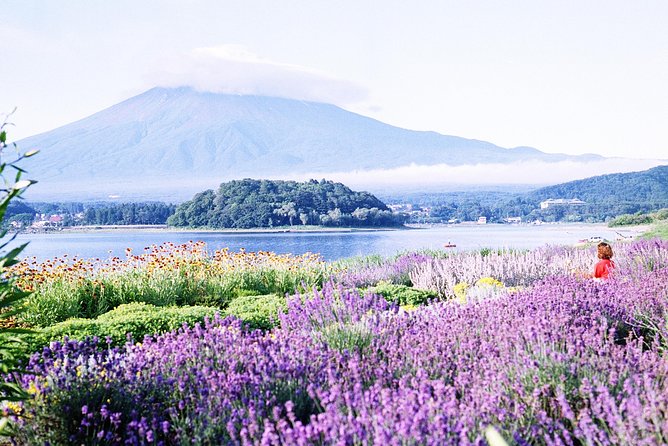 Barrier-Free Private Mt. Fuji Tour for Wheelchair Users - Last Words