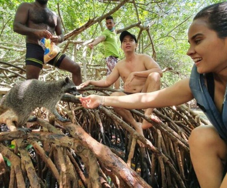 Barú: Club Freedom Beach With Mangrove and Snorkel - Customer Reviews