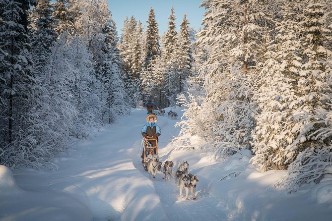 Be a Musher! Husky Tour Into the Arctic Wilderness - Last Words