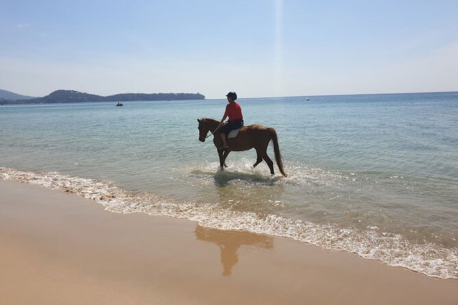 Beach Horse Riding Activity in Phuket - Pricing and Terms