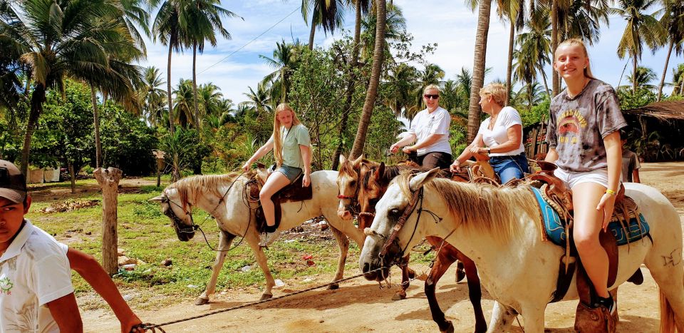 .Beach Horse Riding Turtle Release Crocodile Farm Experience - Location and Product Details