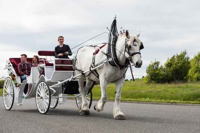 Beacon Hill Park Horse-Drawn Carriage Tour of Victoria - Common questions