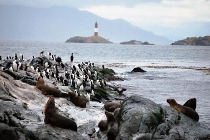 Beagle Channel Navigation Penguin Colony - Weather and Travel Conditions