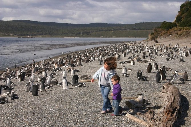 Beagle Channel to Martillo Island and Walk Among Penguins - Common questions