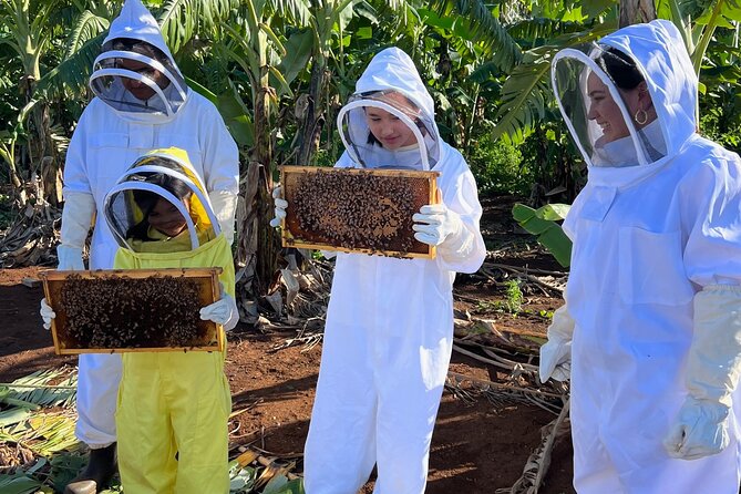 Bee Farm Ecotour and Honey Tasting in Waialua, North Shore Oahu - Learn About the Importance of Bees