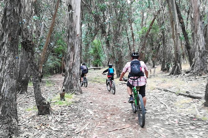 Beginner or Intermediate Mountain Bike Tour of Santa Barbara - Requirements and Accessibility