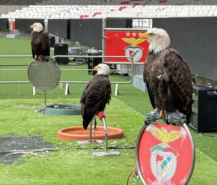 Benfica Stadium and Museum Tour - Review Summary
