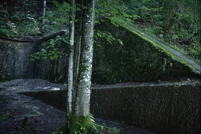 Berchtesgaden-Obersalzberg Private Half Day WWII Historical Tour - Obersalzberg Significance