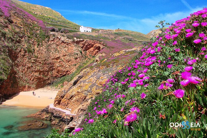 Berlengas Catamaran Tour - Viator Help Center