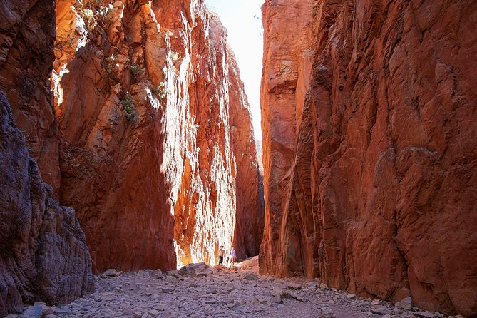 Best of Alice Springs Full Day Tour - Safety Measures