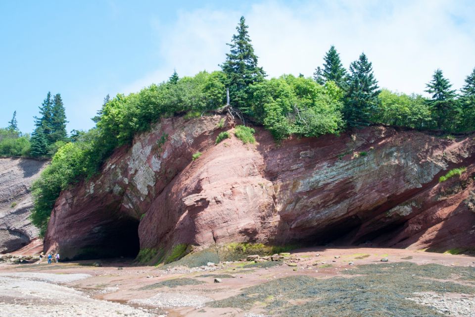 Best of Hopewell Rocks & Fundy National Park From Moncton - Natural Wonders