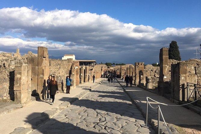 Best of Pompeii and Herculaneum With an Expert Archaeologist - Travelers Positive Reviews