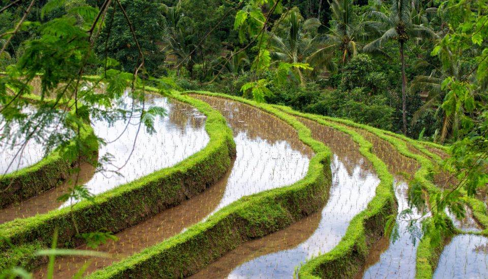 Best of Tanah Lot: All-Inclusive Tour With Optional Lunch - Directions