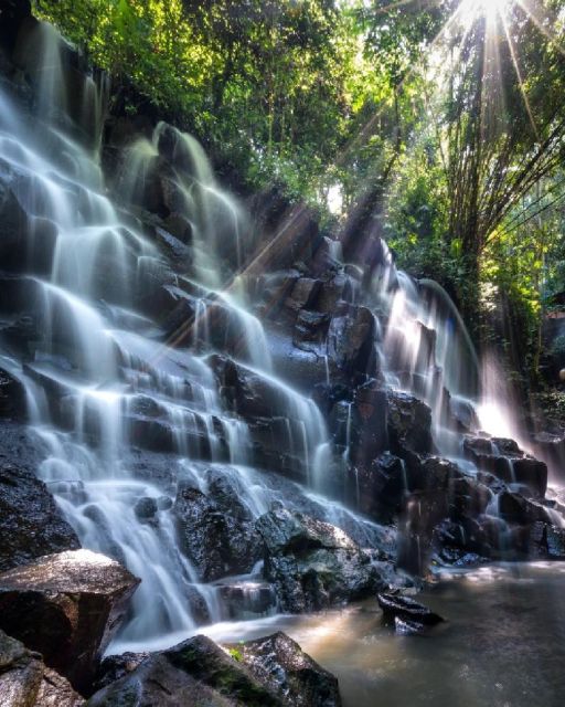 Best of Ubud Waterfalls, Rice Terraces & Jungle Swing Tour - Booking & Pickup Details