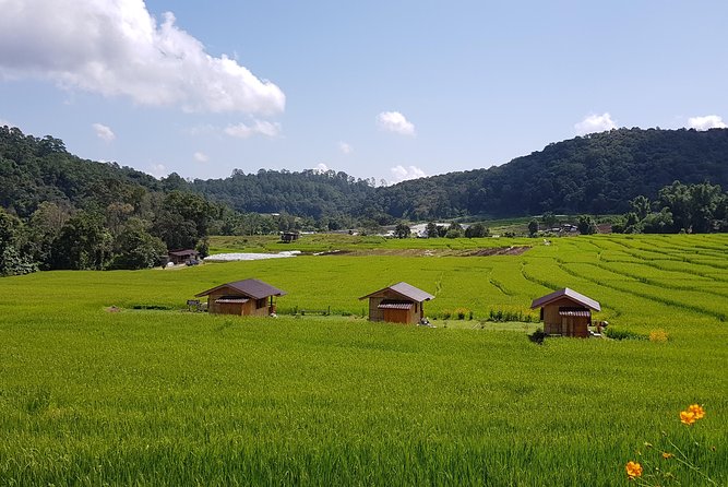 Best Seller! Doi Inthanon National Park Oneday Tour With the Highest Point - Contact Information