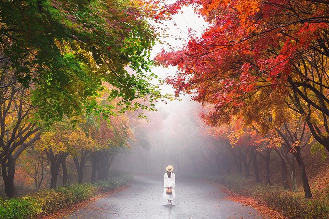 Best View Seoul Autumn Foliage Tour - Tips for Enjoying Autumn Foliage