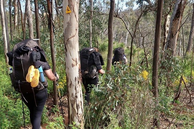 Bibbulmun Track Multi-Day Hike and Camp to the Darling Range - Meal Planning Tips