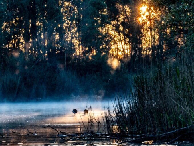 Biesbosch: Boat Cruise Through National Park - Customer Reviews