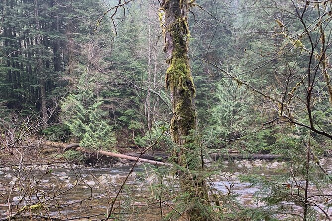 Bike/ E-bike North Vancouvers Seymour Demonstration Forest - Common questions