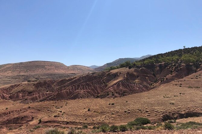 Bike Tour to Atlas Mountain and Berber Village From Marrakech - Customer Reviews and Ratings