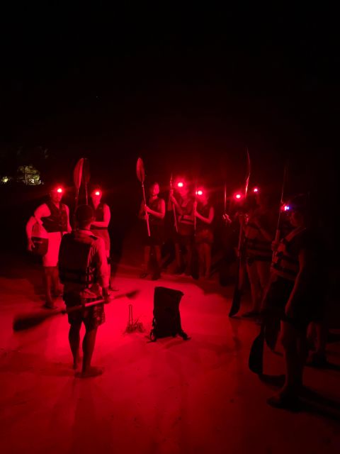 Bioluminescence Kayak Tour at Holbox - Night Wildlife Exploration