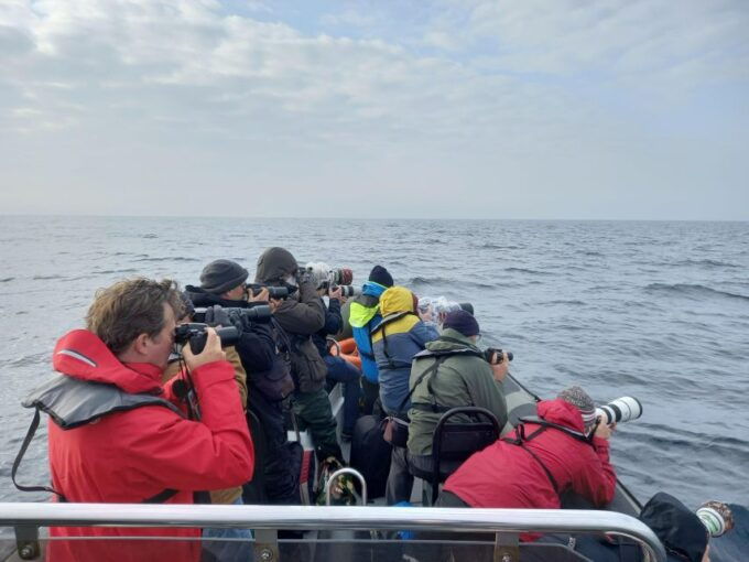 Birdwatching Boat Tour in the Tagus Estuary - Nature Exploration