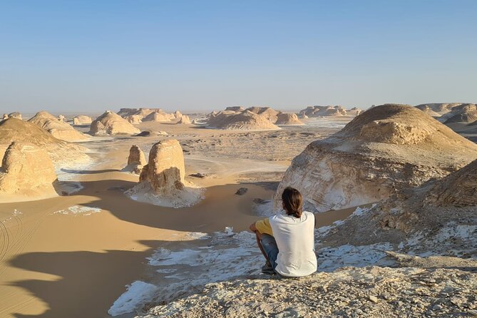 Black and White Desert and Bahariya Oasis Tour 2 Days 1 Night - Guide Excellence and Services