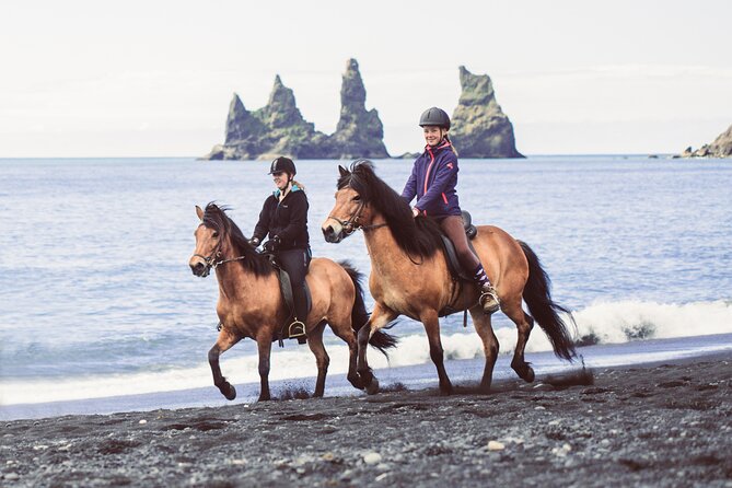 Black Sand Beach Horse Riding Tour From Vik - Customer Reviews