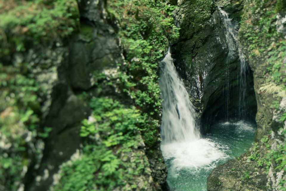 Bled: Triglav National Park Canyoning Adventure With Photos - Customer Reviews