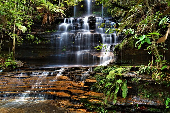 Blue Mountains Day Adventure, Featherdale Wildlife & River Cruise - Explore Pricing and Group Sizes