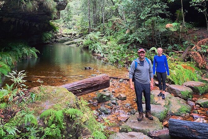 Blue Mountains Private Hiking Tour From Sydney - Wildlife Encounters