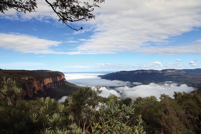 Blue Mountains Small Group Tour - Dining Experience