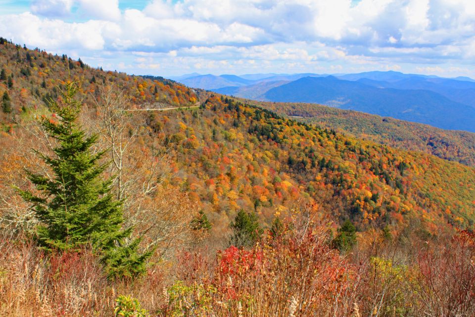 Blue Ridge Parkway: Cherokee to Asheville Driving App Tour - Pricing Information