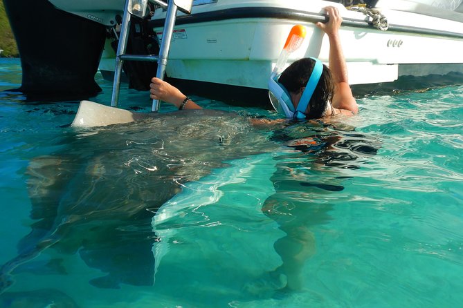 Boat Tour 1/2 Day Excursion in the Lagoon of Moorea - Traveler Engagement Options