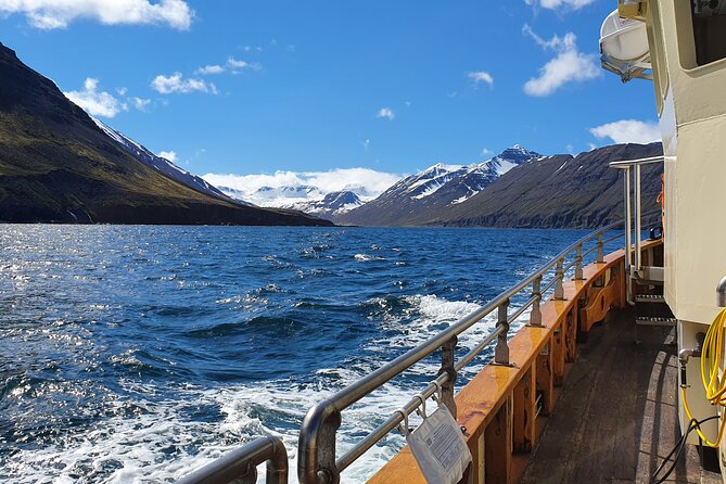 Boat Tours From Siglufjörður - Seasickness Precautions and Recommendations