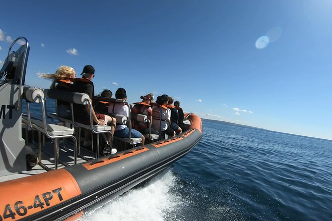 Boat Trip to the Caves of Benagil - Customer Reviews