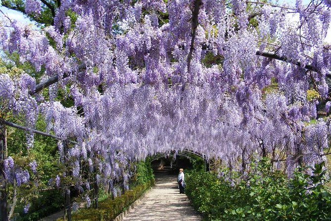 Boboli Garden Tour in Florence - Reviews and Ratings