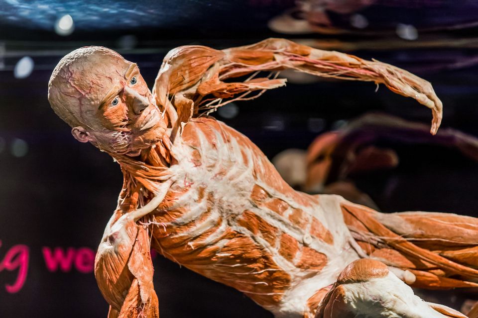 Body Worlds Amsterdam: The Happiness Project Ticket - Additional Information