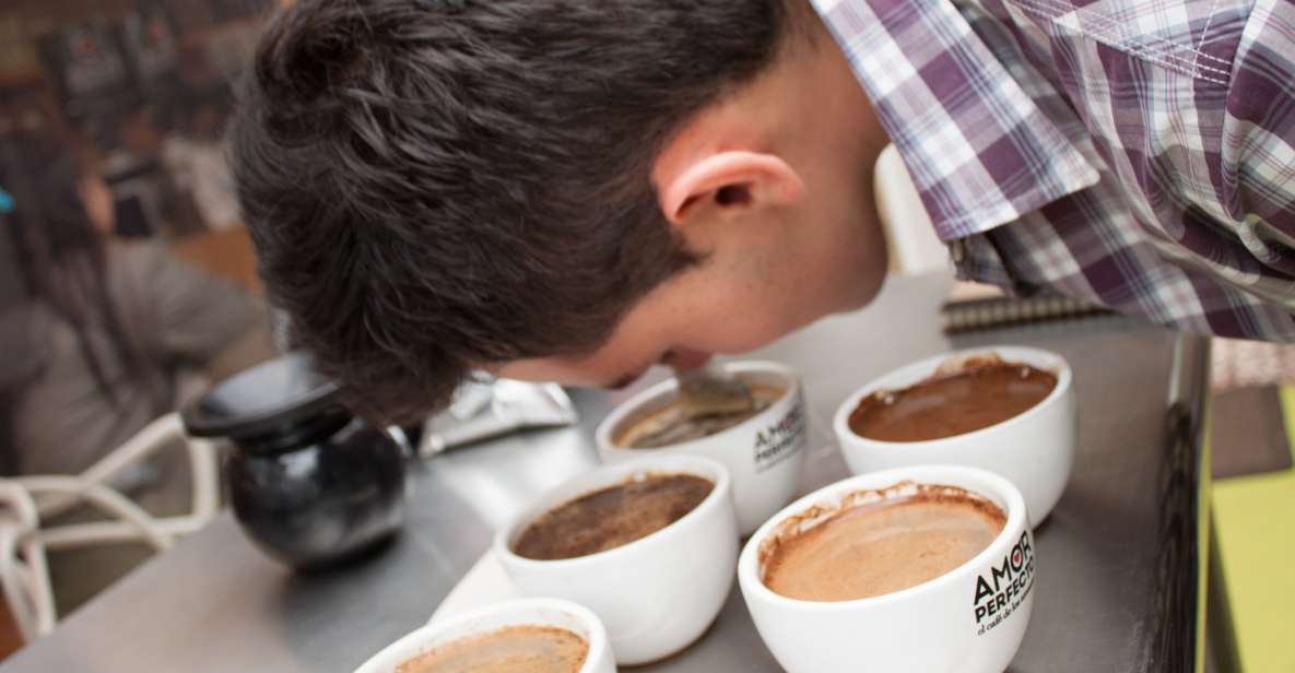 Bogota Coffee Masters - Barista-Guided Coffee Preparation