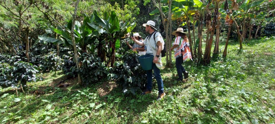 Bogotá: Guided 5-Hour Coffee Farm Tour - Customer Reviews and Recommendations