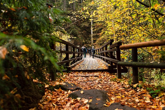 Bohemian and Saxon Switzerland National Park Day Trip From Prague - Best Reviews - Tips for an Enjoyable Day Trip