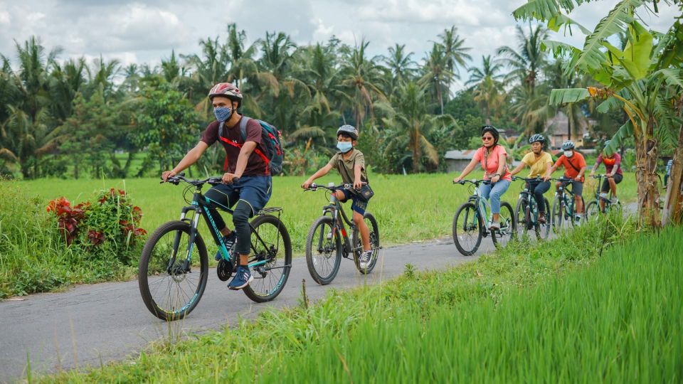 Borobudur Village Cycling and Temple Tour With Transfer - Gamelan Music Workshop