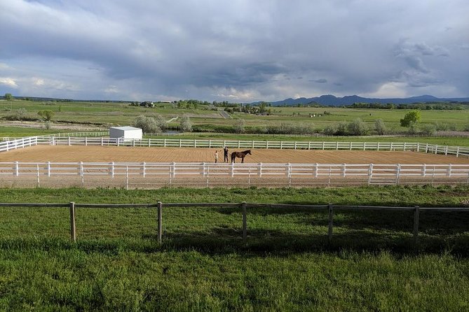 Boulder Equine Discovery Experience - Common questions